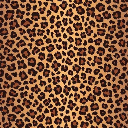 faixa animalprint